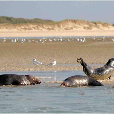 Escapade Berckoise, Berck Plage Екстериор снимка
