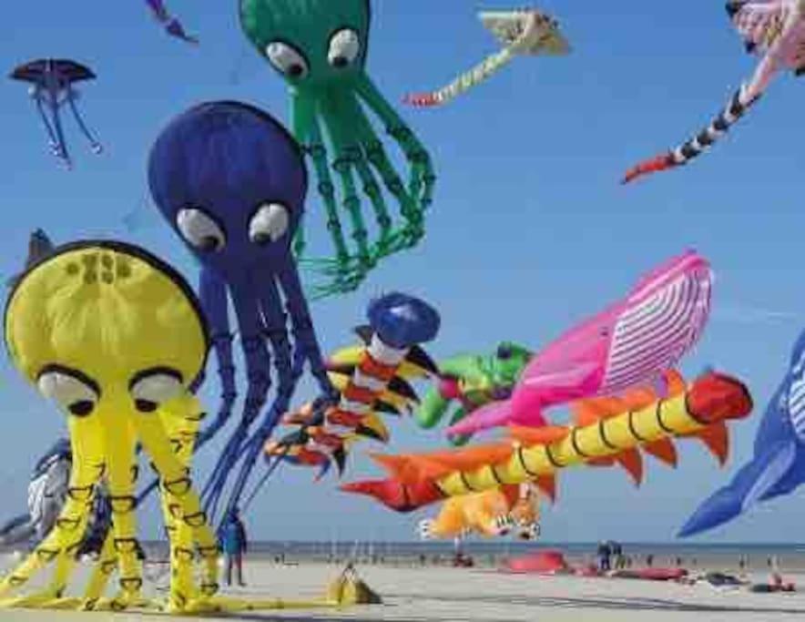 Escapade Berckoise, Berck Plage Екстериор снимка