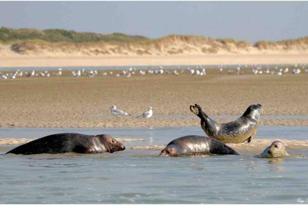 Escapade Berckoise, Berck Plage Екстериор снимка