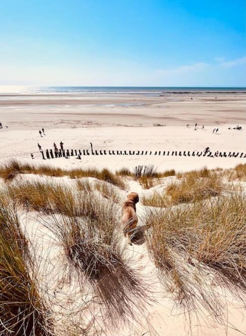 Escapade Berckoise, Berck Plage Екстериор снимка